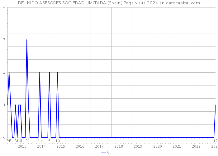 DEL NIDO ASESORES SOCIEDAD LIMITADA (Spain) Page visits 2024 