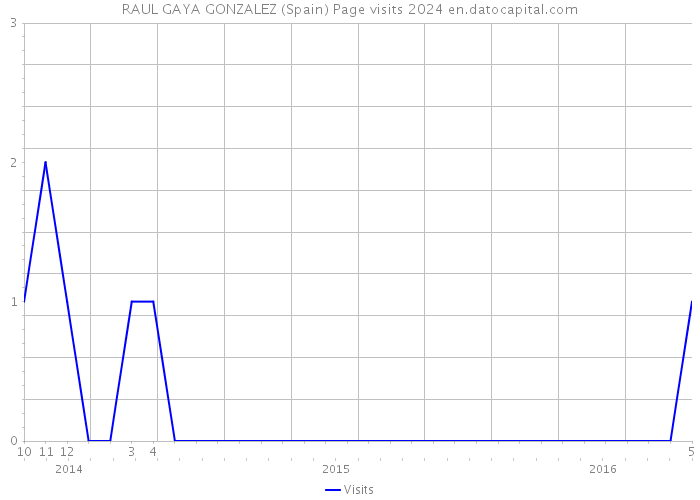 RAUL GAYA GONZALEZ (Spain) Page visits 2024 