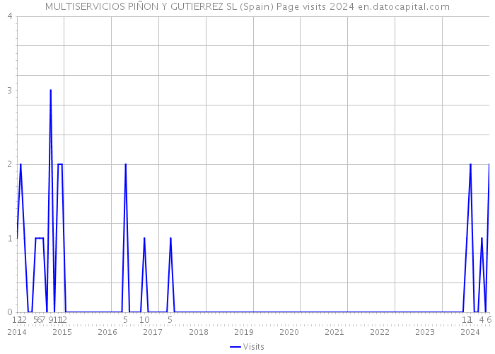 MULTISERVICIOS PIÑON Y GUTIERREZ SL (Spain) Page visits 2024 