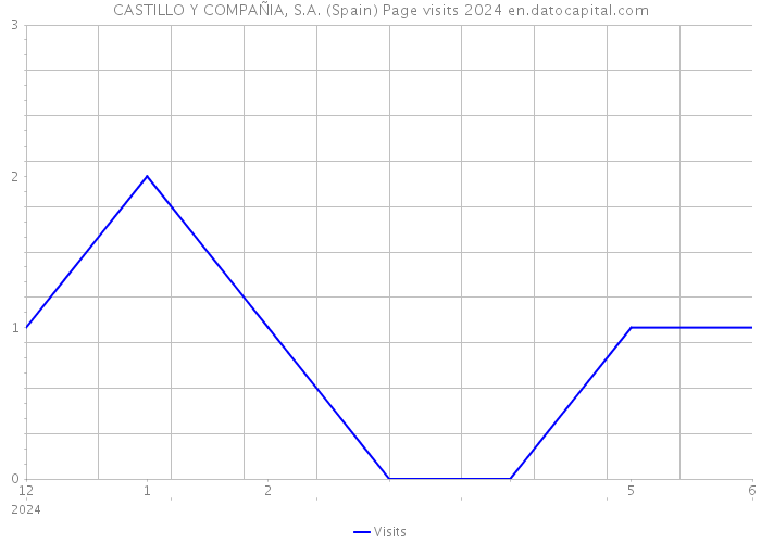 CASTILLO Y COMPAÑIA, S.A. (Spain) Page visits 2024 