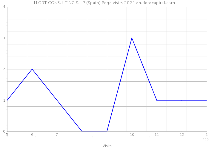 LLORT CONSULTING S.L.P (Spain) Page visits 2024 