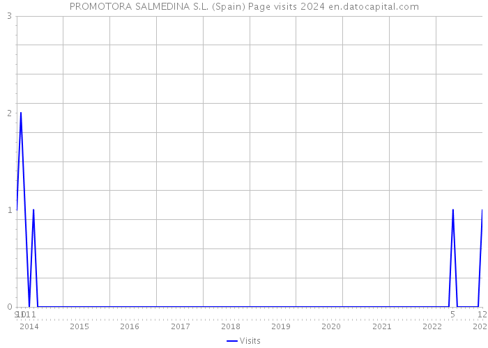 PROMOTORA SALMEDINA S.L. (Spain) Page visits 2024 