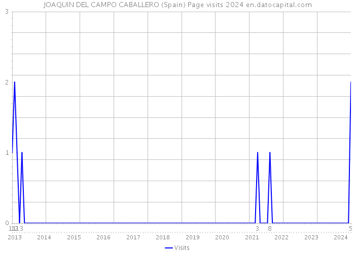 JOAQUIN DEL CAMPO CABALLERO (Spain) Page visits 2024 