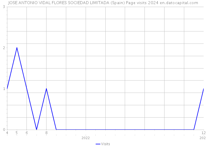 JOSE ANTONIO VIDAL FLORES SOCIEDAD LIMITADA (Spain) Page visits 2024 