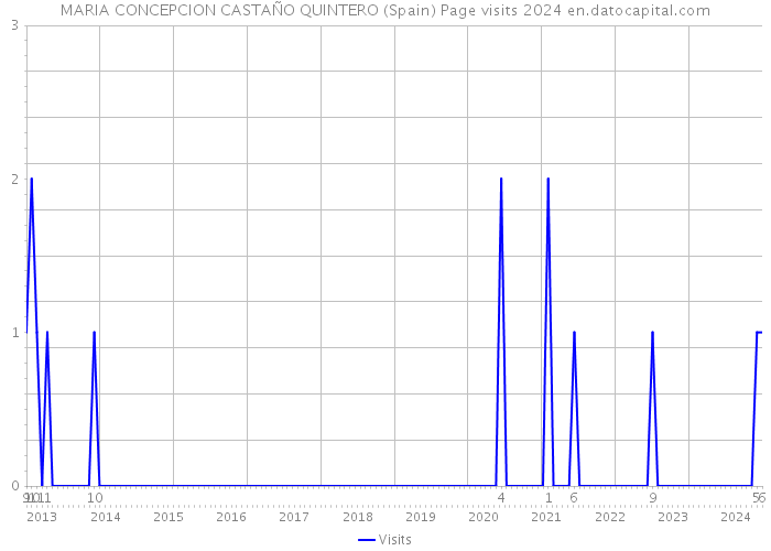 MARIA CONCEPCION CASTAÑO QUINTERO (Spain) Page visits 2024 