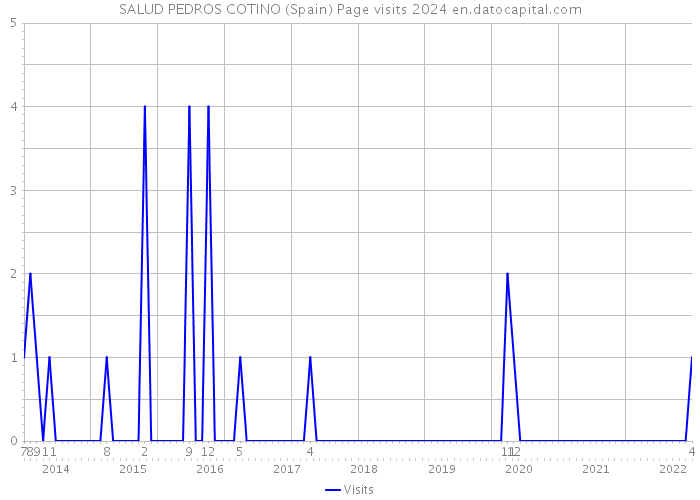 SALUD PEDROS COTINO (Spain) Page visits 2024 