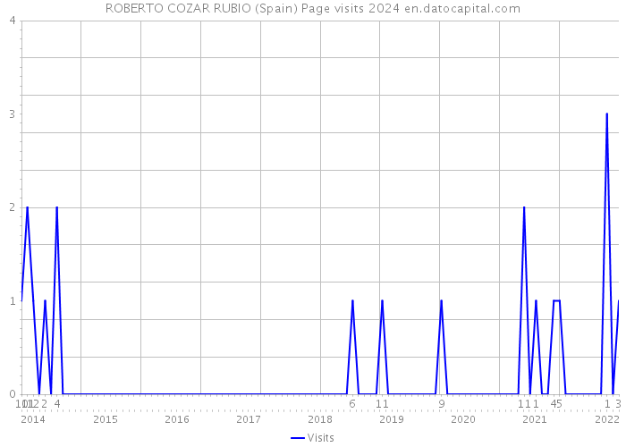 ROBERTO COZAR RUBIO (Spain) Page visits 2024 