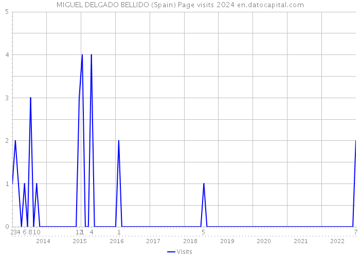 MIGUEL DELGADO BELLIDO (Spain) Page visits 2024 