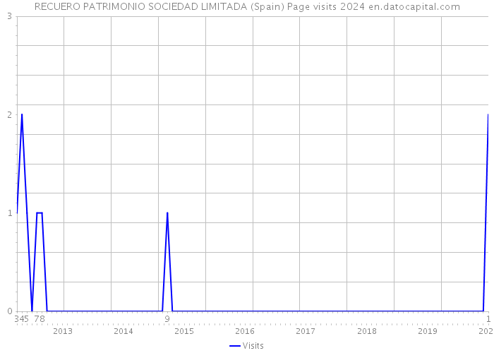 RECUERO PATRIMONIO SOCIEDAD LIMITADA (Spain) Page visits 2024 