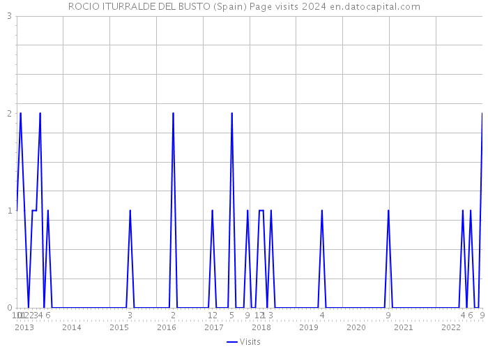 ROCIO ITURRALDE DEL BUSTO (Spain) Page visits 2024 