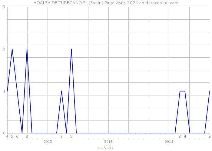 HOALSA DE TUREGANO SL (Spain) Page visits 2024 