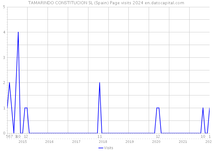 TAMARINDO CONSTITUCION SL (Spain) Page visits 2024 
