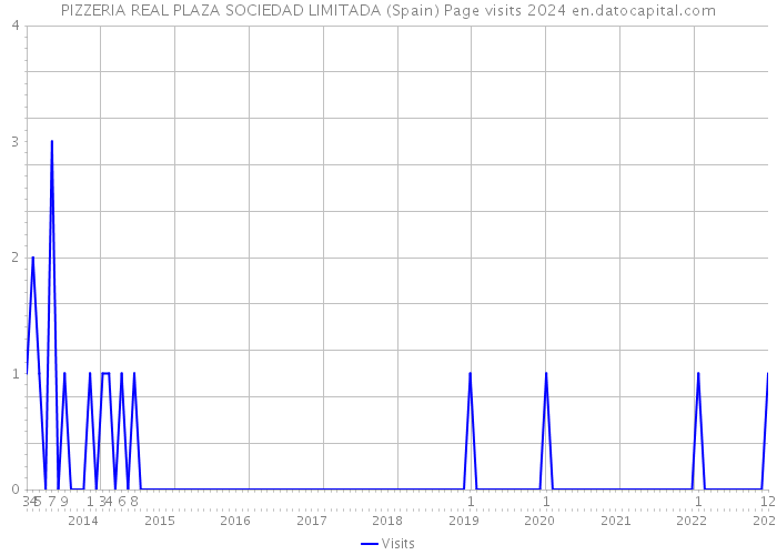 PIZZERIA REAL PLAZA SOCIEDAD LIMITADA (Spain) Page visits 2024 