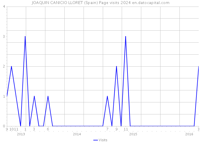 JOAQUIN CANICIO LLORET (Spain) Page visits 2024 