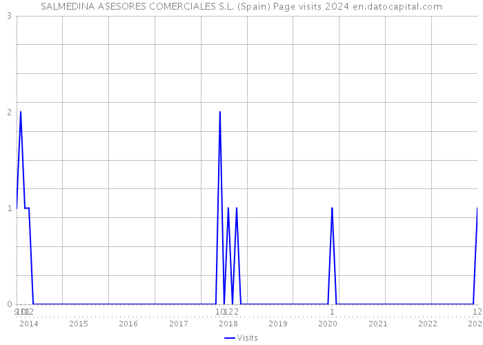 SALMEDINA ASESORES COMERCIALES S.L. (Spain) Page visits 2024 