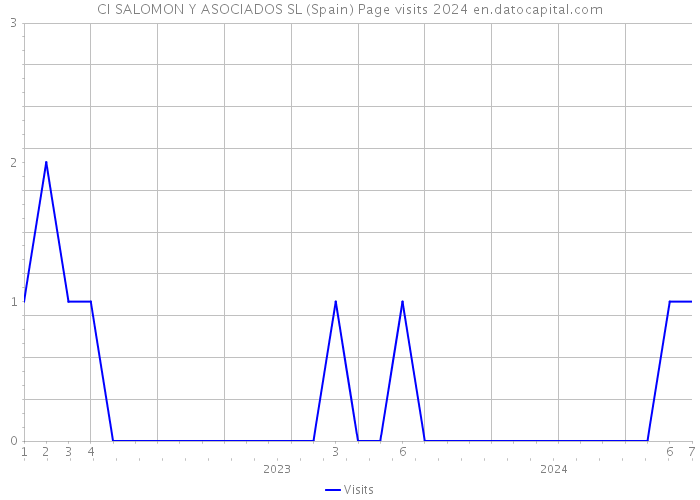 CI SALOMON Y ASOCIADOS SL (Spain) Page visits 2024 