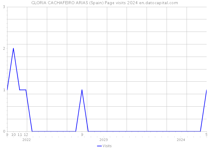 GLORIA CACHAFEIRO ARIAS (Spain) Page visits 2024 