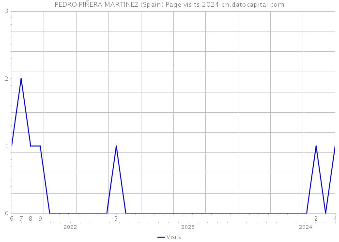 PEDRO PIÑERA MARTINEZ (Spain) Page visits 2024 