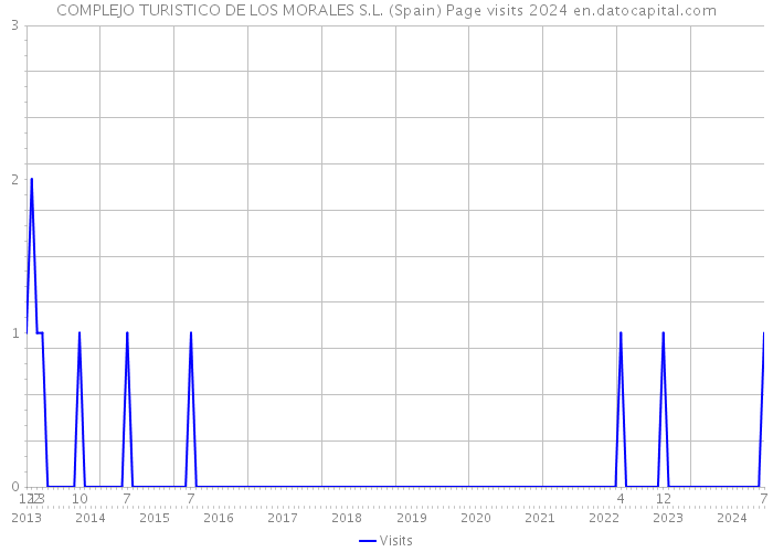 COMPLEJO TURISTICO DE LOS MORALES S.L. (Spain) Page visits 2024 