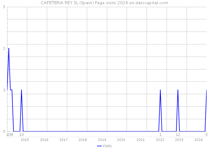 CAFETERIA REY SL (Spain) Page visits 2024 