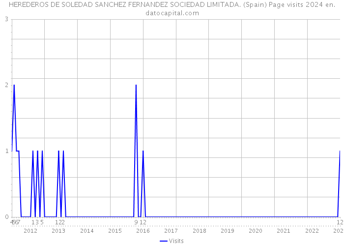 HEREDEROS DE SOLEDAD SANCHEZ FERNANDEZ SOCIEDAD LIMITADA. (Spain) Page visits 2024 