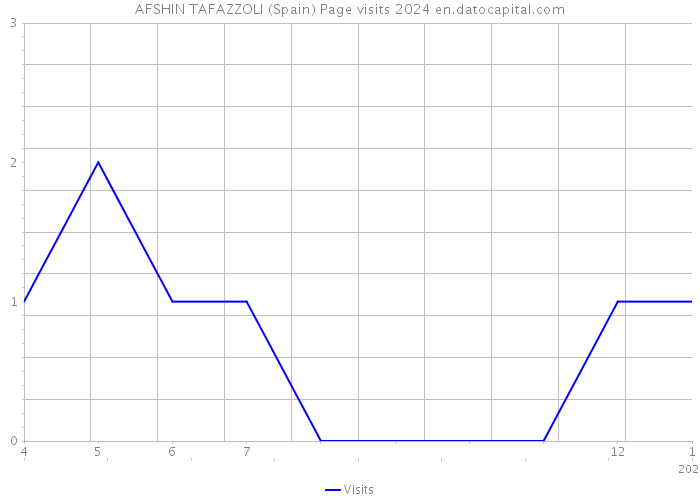 AFSHIN TAFAZZOLI (Spain) Page visits 2024 
