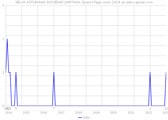 SELVA ASTURIANA SOCIEDAD LIMITADA (Spain) Page visits 2024 