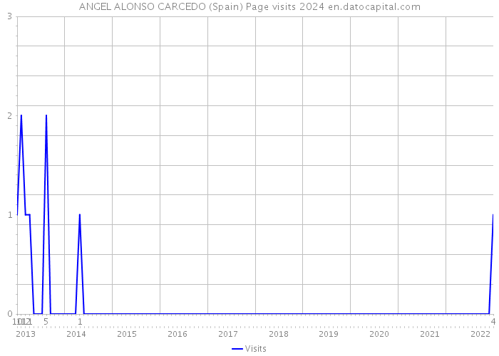 ANGEL ALONSO CARCEDO (Spain) Page visits 2024 