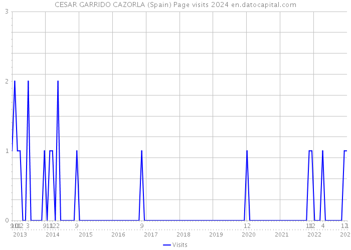 CESAR GARRIDO CAZORLA (Spain) Page visits 2024 