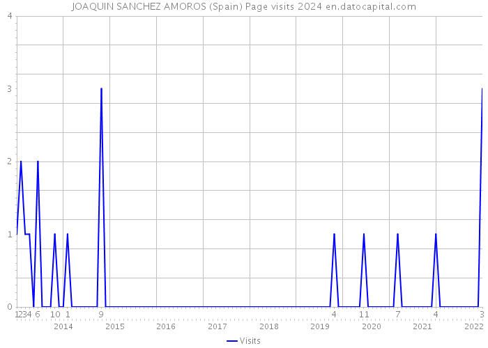 JOAQUIN SANCHEZ AMOROS (Spain) Page visits 2024 