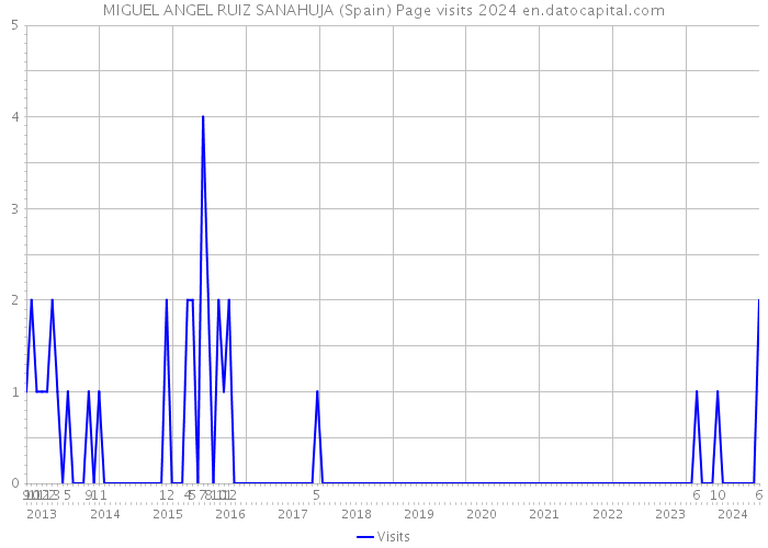 MIGUEL ANGEL RUIZ SANAHUJA (Spain) Page visits 2024 