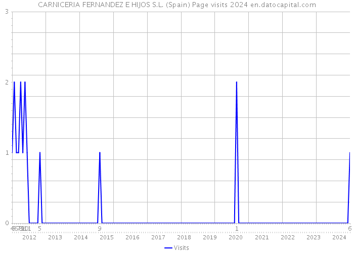 CARNICERIA FERNANDEZ E HIJOS S.L. (Spain) Page visits 2024 