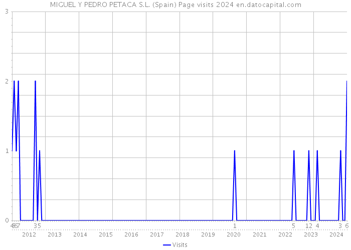 MIGUEL Y PEDRO PETACA S.L. (Spain) Page visits 2024 