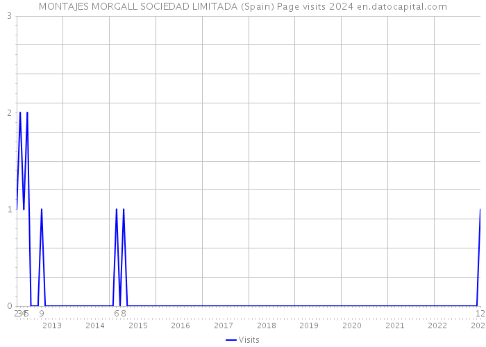 MONTAJES MORGALL SOCIEDAD LIMITADA (Spain) Page visits 2024 