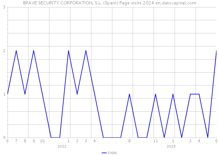 BRAVE SECURITY CORPORATION, S.L. (Spain) Page visits 2024 