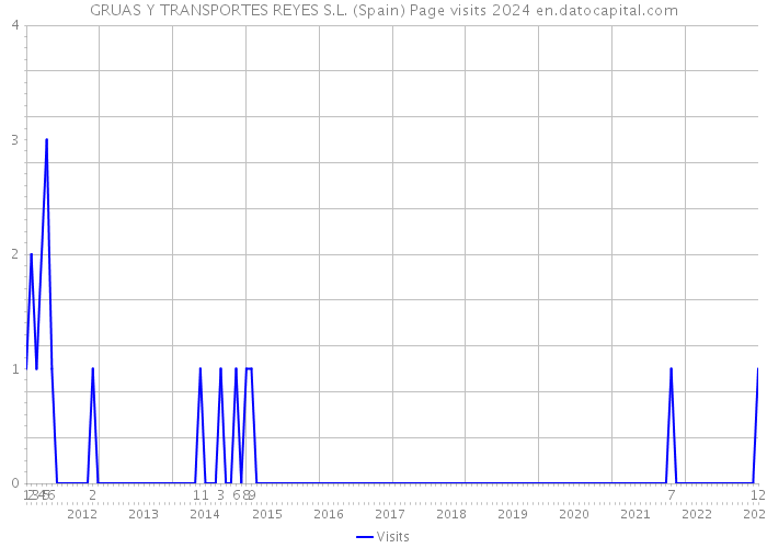 GRUAS Y TRANSPORTES REYES S.L. (Spain) Page visits 2024 