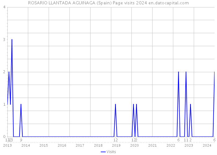 ROSARIO LLANTADA AGUINAGA (Spain) Page visits 2024 