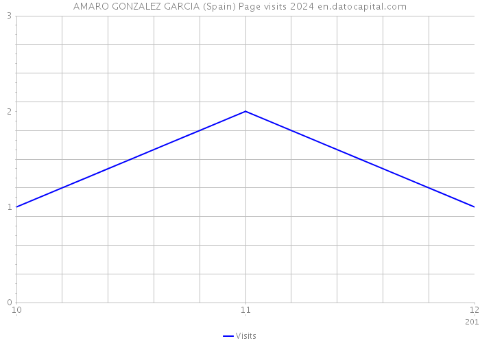 AMARO GONZALEZ GARCIA (Spain) Page visits 2024 
