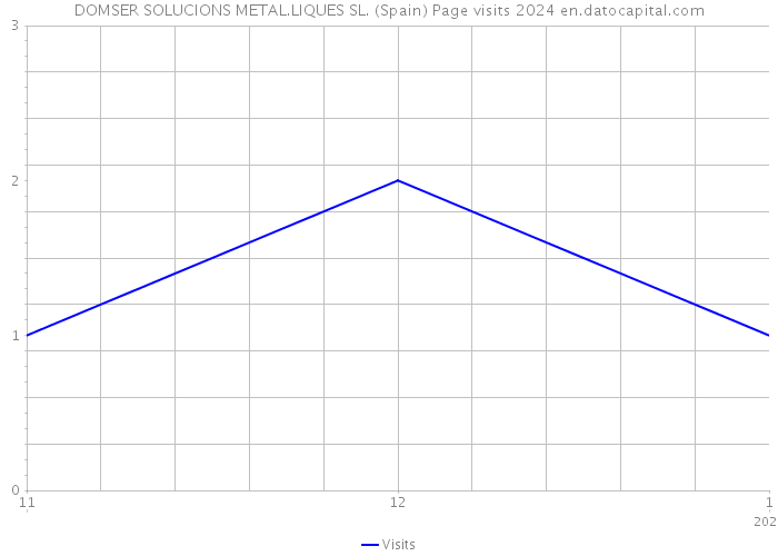 DOMSER SOLUCIONS METAL.LIQUES SL. (Spain) Page visits 2024 