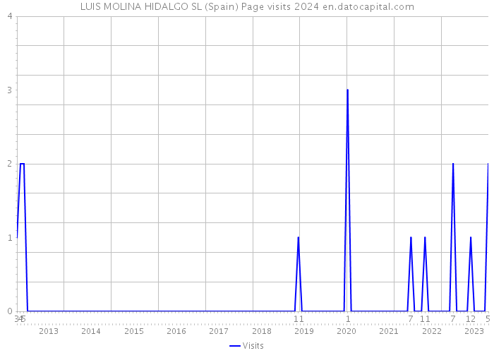 LUIS MOLINA HIDALGO SL (Spain) Page visits 2024 