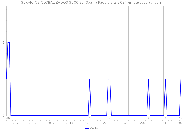 SERVICIOS GLOBALIZADOS 3000 SL (Spain) Page visits 2024 