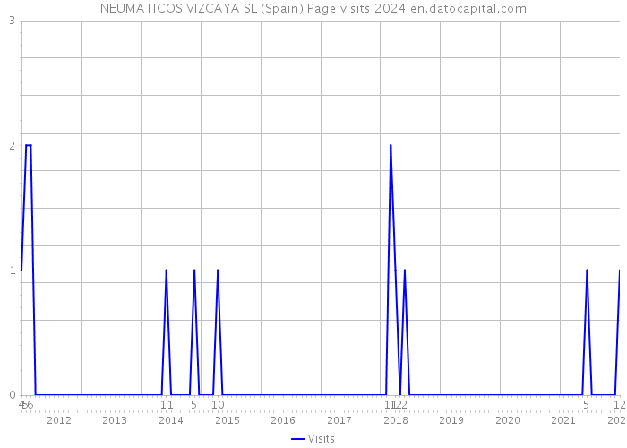 NEUMATICOS VIZCAYA SL (Spain) Page visits 2024 