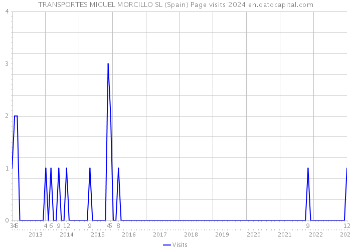 TRANSPORTES MIGUEL MORCILLO SL (Spain) Page visits 2024 