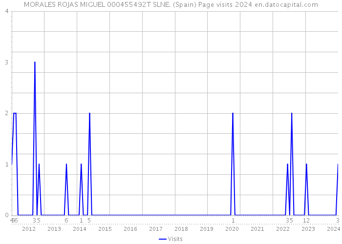 MORALES ROJAS MIGUEL 000455492T SLNE. (Spain) Page visits 2024 