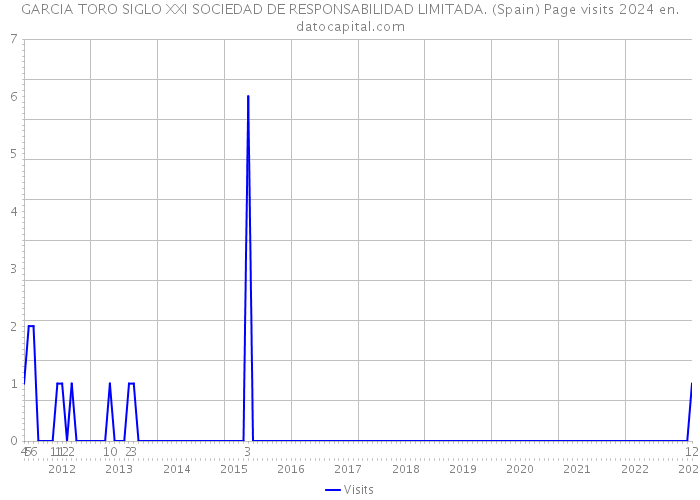 GARCIA TORO SIGLO XXI SOCIEDAD DE RESPONSABILIDAD LIMITADA. (Spain) Page visits 2024 