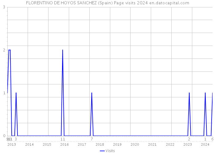 FLORENTINO DE HOYOS SANCHEZ (Spain) Page visits 2024 