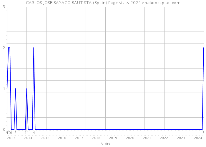 CARLOS JOSE SAYAGO BAUTISTA (Spain) Page visits 2024 