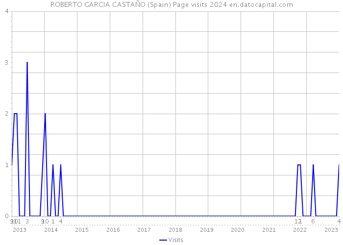 ROBERTO GARCIA CASTAÑO (Spain) Page visits 2024 