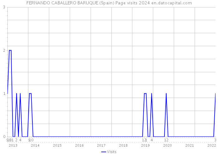 FERNANDO CABALLERO BARUQUE (Spain) Page visits 2024 