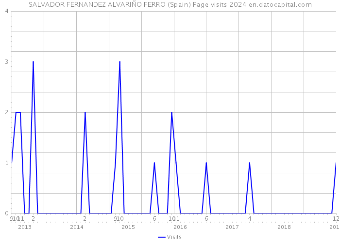 SALVADOR FERNANDEZ ALVARIÑO FERRO (Spain) Page visits 2024 